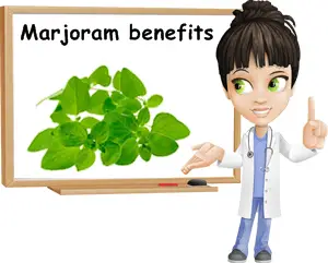 Marjoram benefits