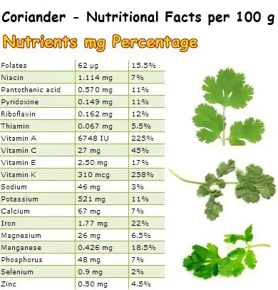 Nutritional Facts Coriander