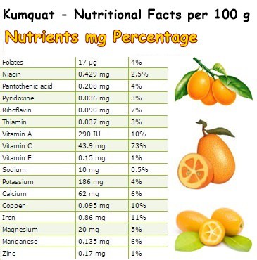 Nutritional Facts Kumquat