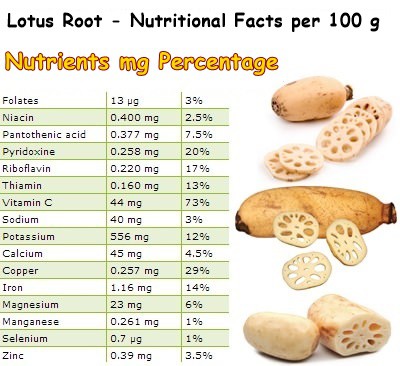 Nutritional Facts Lotus Root