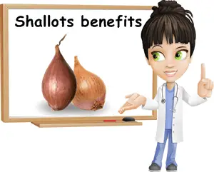 Shallots benefits