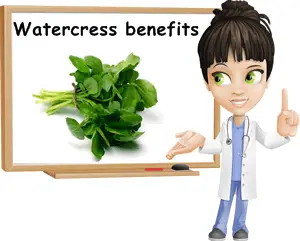 Watercress benefits