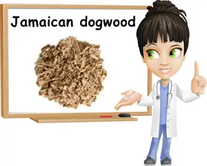 Jamaica dogwood benefits