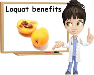 Loquat benefits