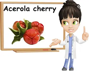 Acerola benefits