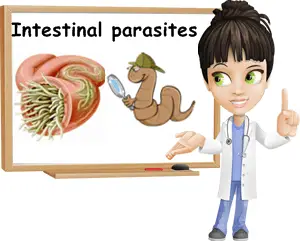 Intestinal worms