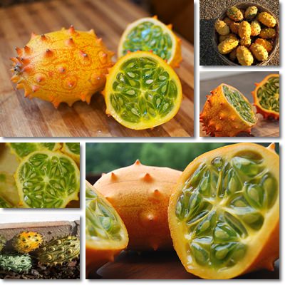 Kiwano