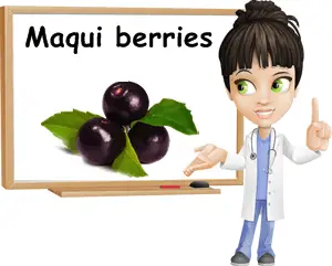 Maqui properties