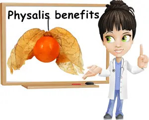 Physalis properties