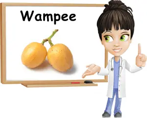 Wampee properties