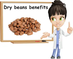 Dry beans properties