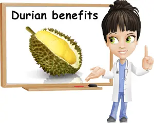 Durian benefits