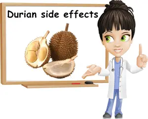 Durian myths