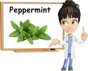 Peppermint benefits