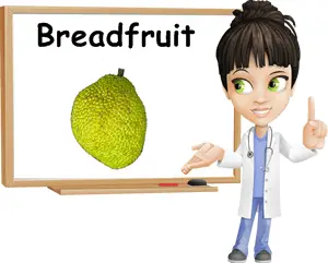 Breadfruit benefits