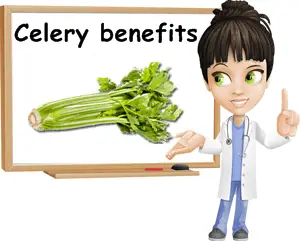 Celery benefits