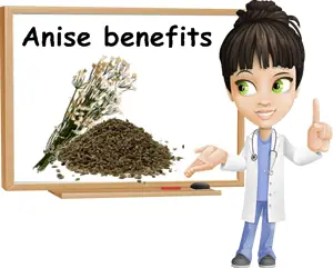 Anise benefits