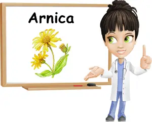 Arnica benefits