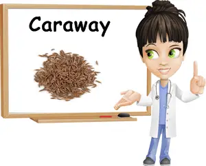 Caraway benefits