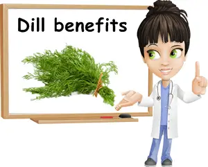 Dill benefits