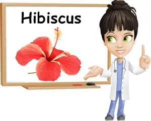 Hibiscus benefits