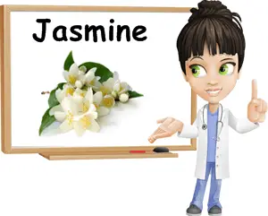 Jasmine benefits