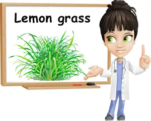 Lemon grass benefits