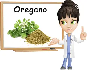 Oregano benefits