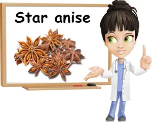 Star anise benefits