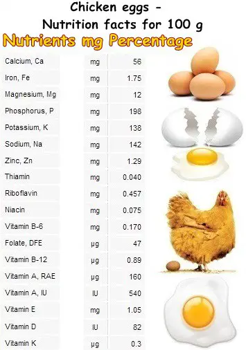 Chicken Egg Nutrition Chart