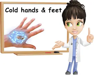 Cold hands and feet causes