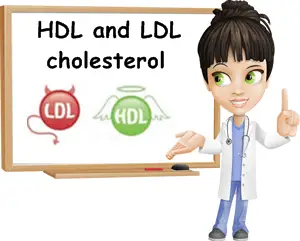 LDL vs HDL cholesterol