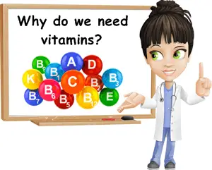 Why we need vitamins