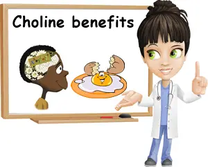 Choline benefits