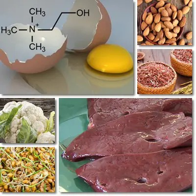 Foods high in choline