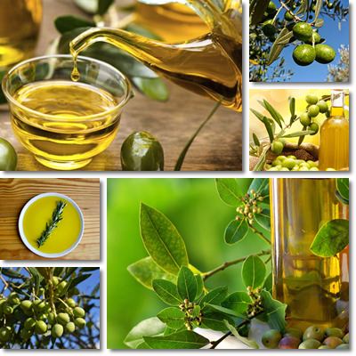 Olive oil properties