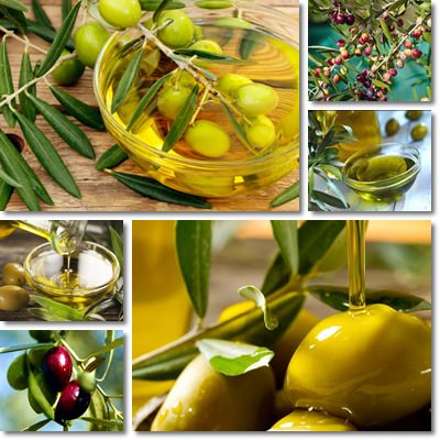 Olive oil