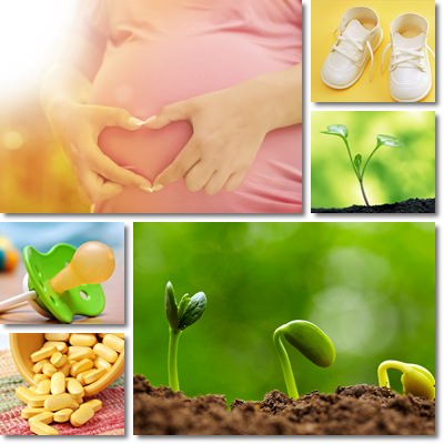 Female fertility vitamins