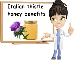 Italian thistle honey benefits