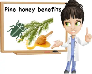 Pine honey benefits