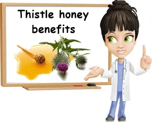 Thistle honey benefits