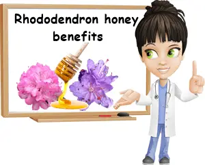 Rhododendron honey benefits