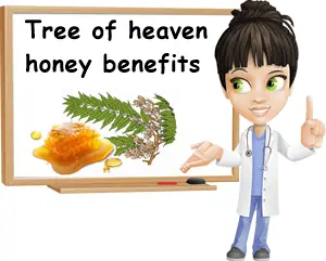 Tree of heaven honey benefits