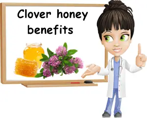 Clover honey benefits