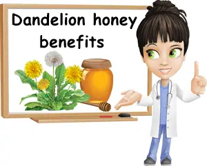 Dandelion honey benefits