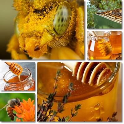 Honey properties