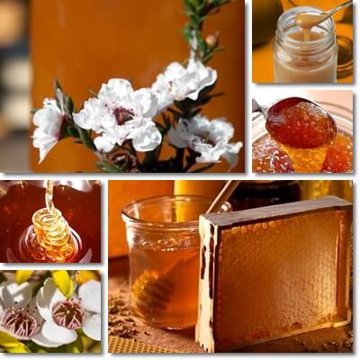 Manuka honey New Zealand benefits