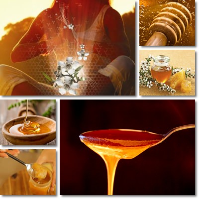 Manuka honey properties