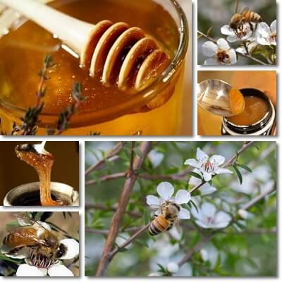 Manuka honey