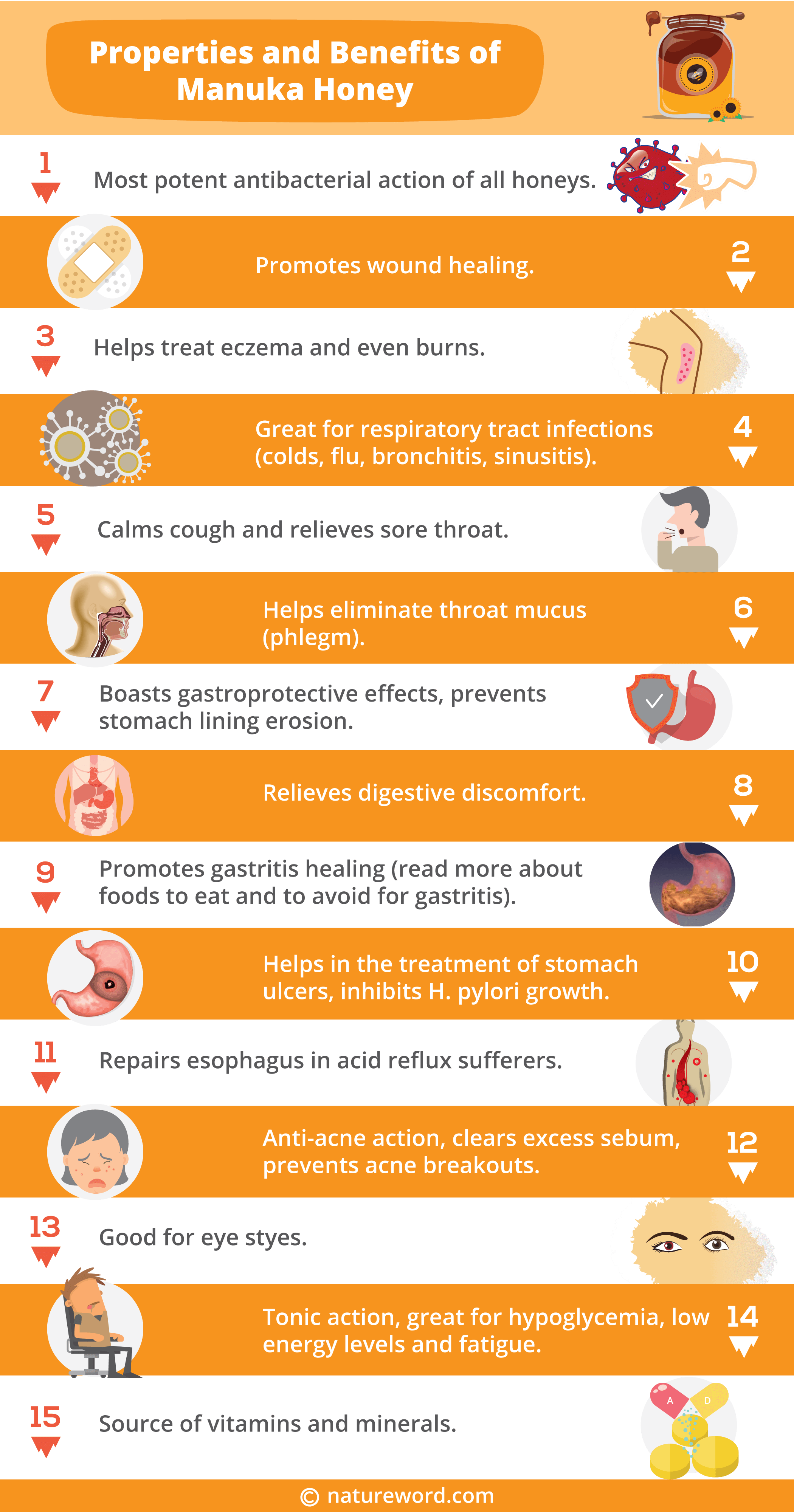 manuka honey infographic